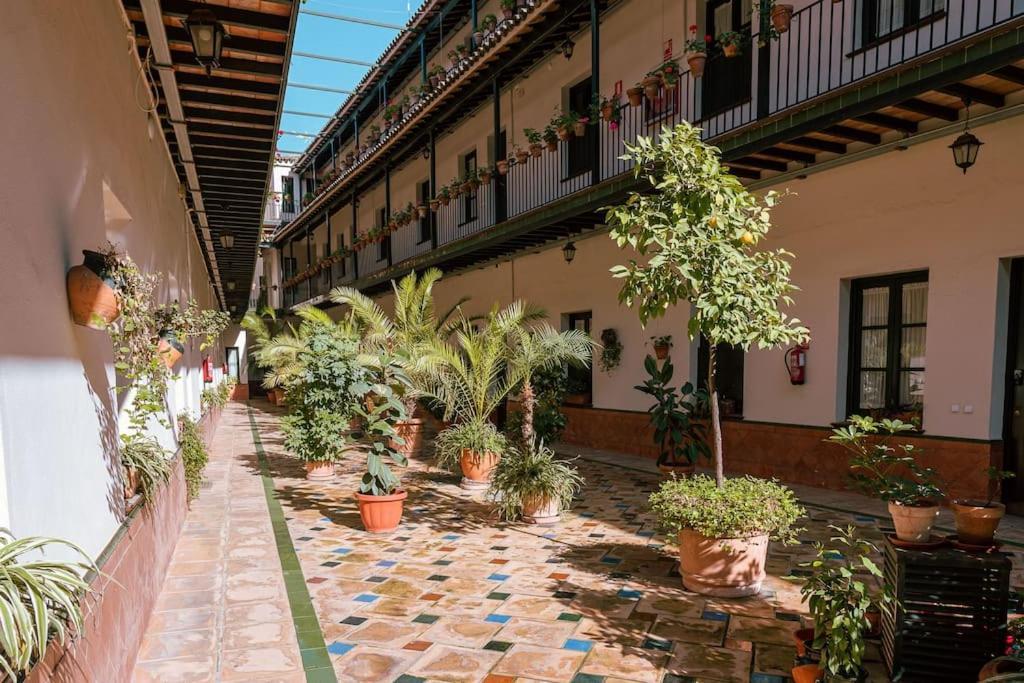 Apartamento Con Encanto En Patio Sevillano Εξωτερικό φωτογραφία